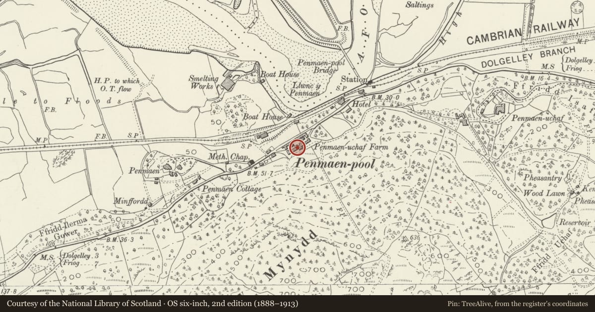 Ordnance Survey six-inch map, 2nd edition (1888–1913) covering the location of Penamen Ucha Farm, Model Farmyard, Dolgellau, Gwynedd, with a pin at the register's coordinates