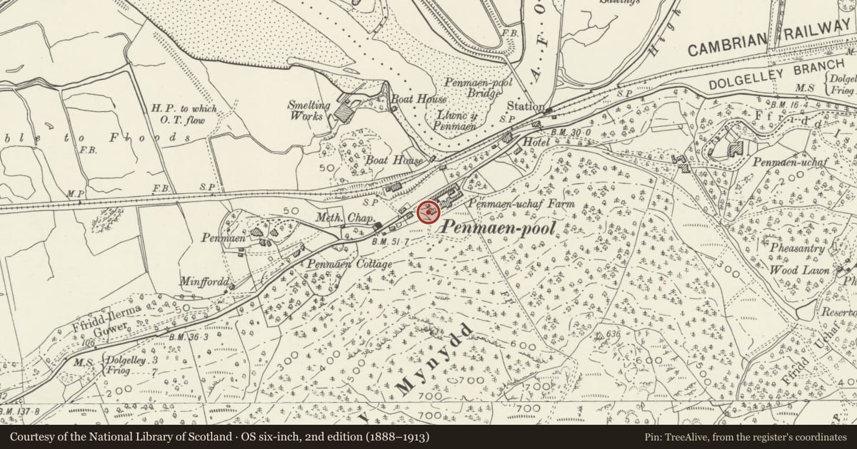 Ordnance Survey six-inch map, 2nd edition (1888–1913) covering the location of Penamen Ucha Farm, Model Farmyard, Dolgellau, Gwynedd, with a pin at the register's coordinates