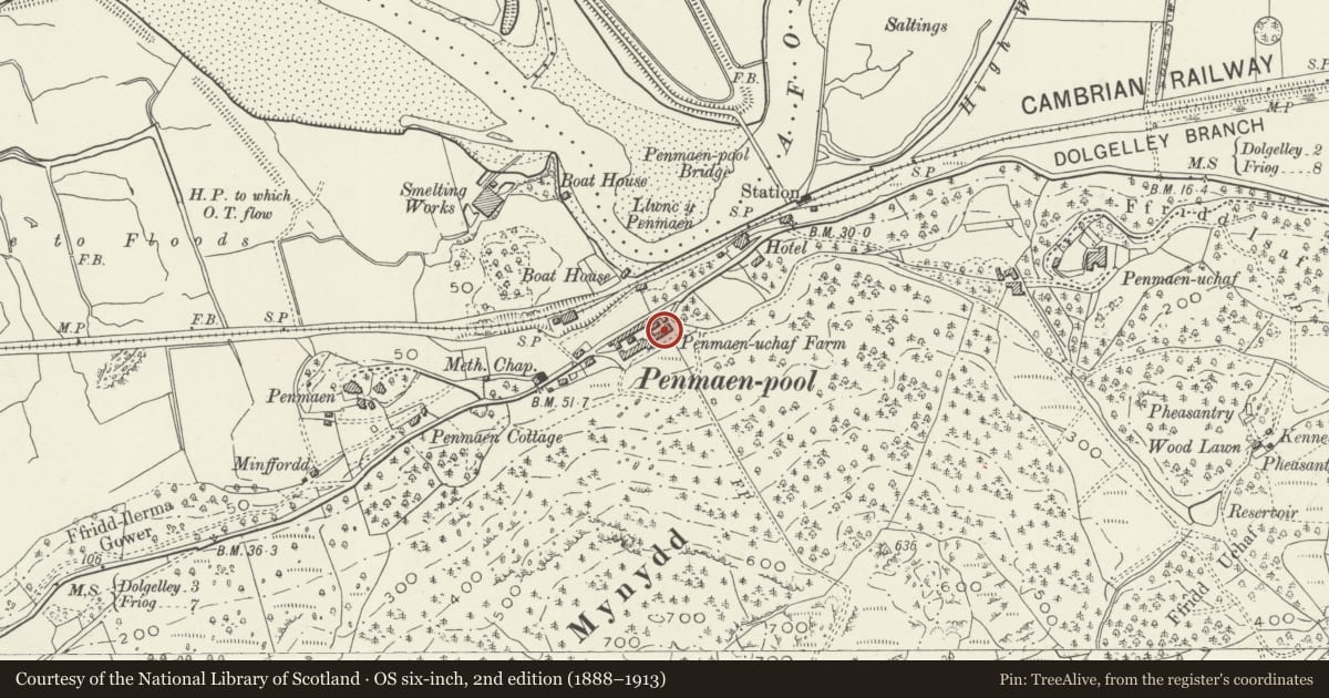 Ordnance Survey six-inch map, 2nd edition (1888–1913) covering the location of Penamen Ucha Farm, Model Farmyard, Dolgellau, Gwynedd, with a pin at the register's coordinates