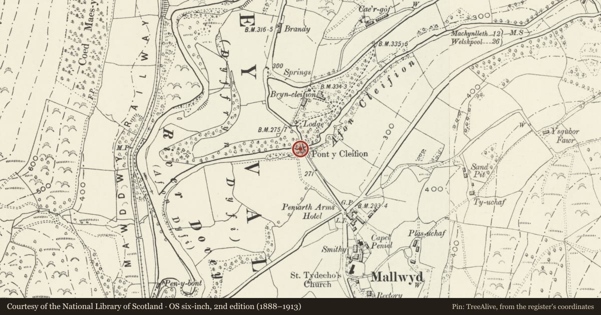 Ordnance Survey six-inch map, 2nd edition (1888–1913) covering the location of Bridge W of Pont y Cleifion, Mawddwy, Gwynedd, with a pin at the register's coordinates