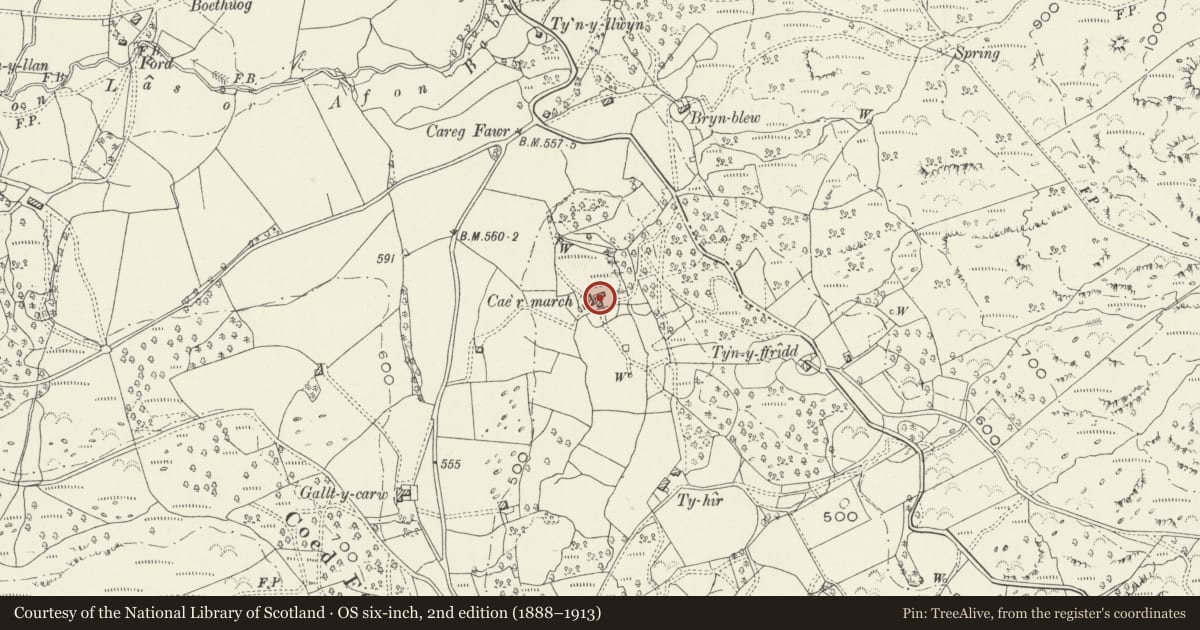 Ordnance Survey six-inch map, 2nd edition (1888–1913) covering the location of Cae'r March, Brithdir and Llanfachreth, Gwynedd, with a pin at the register's coordinates