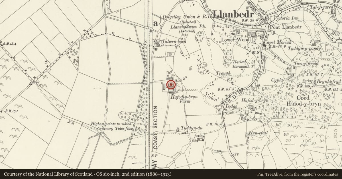 Ordnance Survey six-inch map, 2nd edition (1888–1913) covering the location of Old Dairy, Plas-y Bryn Farm, Llanbedr, Gwynedd, with a pin at the register's coordinates