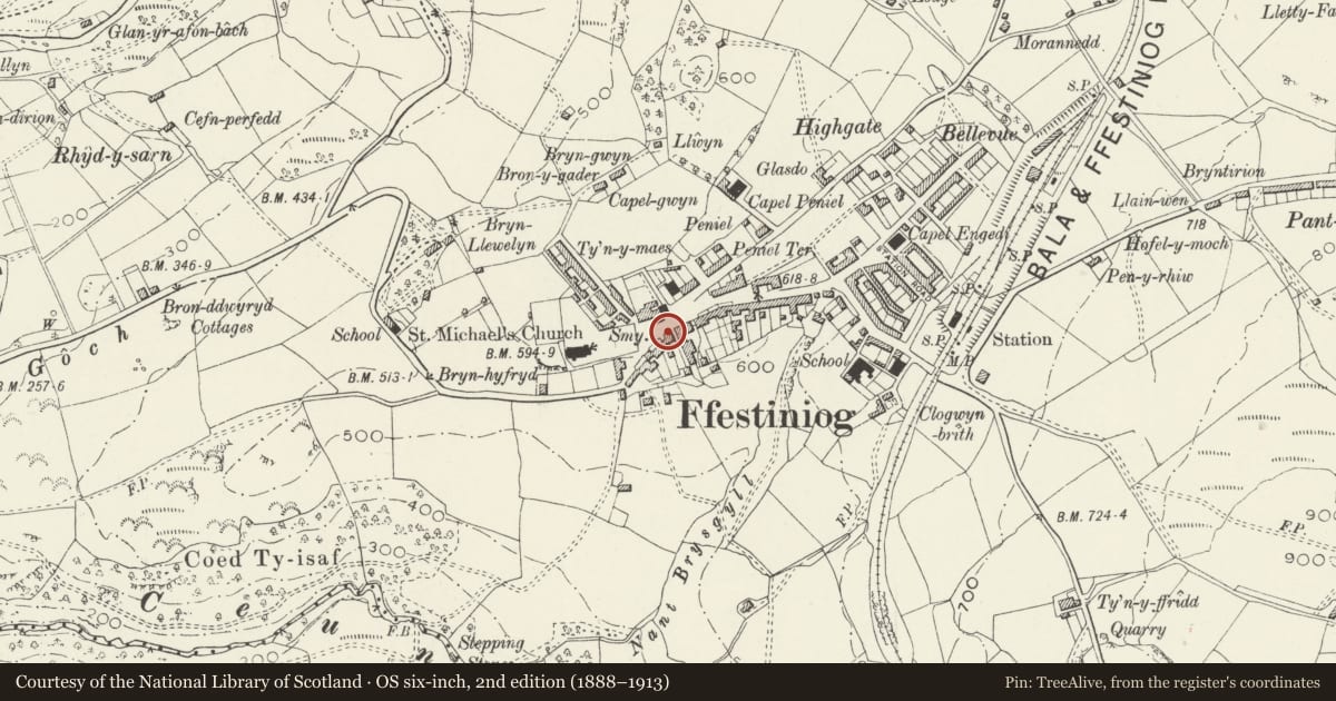 Ordnance Survey six-inch map, 2nd edition (1888–1913) covering the location of Meirion House, Ffestiniog, Gwynedd, with a pin at the register's coordinates
