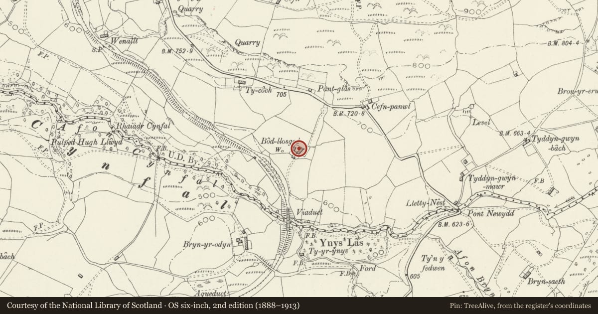 Ordnance Survey six-inch map, 2nd edition (1888–1913) covering the location of Bodloesygad, Ffestiniog, Gwynedd, with a pin at the register's coordinates