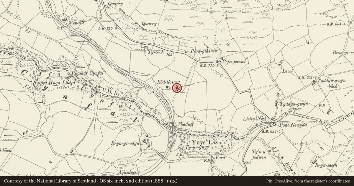 Ordnance Survey six-inch map, 2nd edition (1888–1913) covering the location of Barn and cowshed at Bodloesygad, Ffestiniog, Gwynedd, with a pin at the register's coordinates