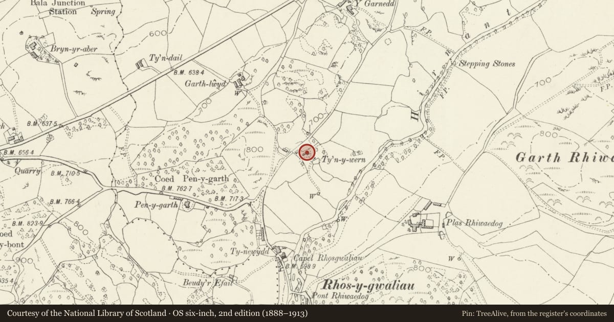 Ordnance Survey six-inch map, 2nd edition (1888–1913) covering the location of Old Ty'n-y-wern, Llangywer, Gwynedd, with a pin at the register's coordinates