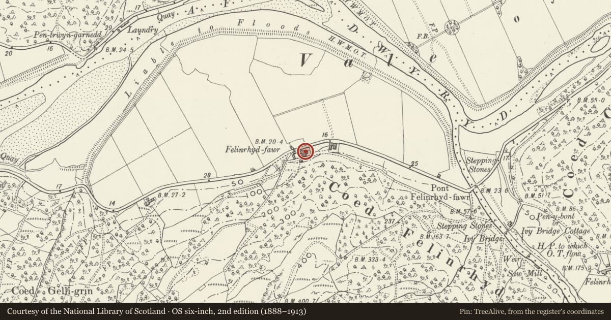 Ordnance Survey six-inch map, 2nd edition (1888–1913) covering the location of Felinrhyd-fawr, Talsarnau, Gwynedd, with a pin at the register's coordinates