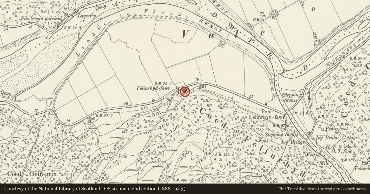Ordnance Survey six-inch map, 2nd edition (1888–1913) covering the location of Forge and open storage area at Felinrhyd-fawr, Talsarnau, Gwynedd, with a pin at the register's coordinates