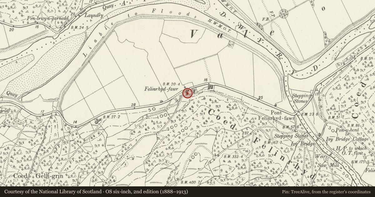 Ordnance Survey six-inch map, 2nd edition (1888–1913) covering the location of Pigsties and cartshed at Felinrhyd-fawr, Talsarnau, Gwynedd, with a pin at the register's coordinates