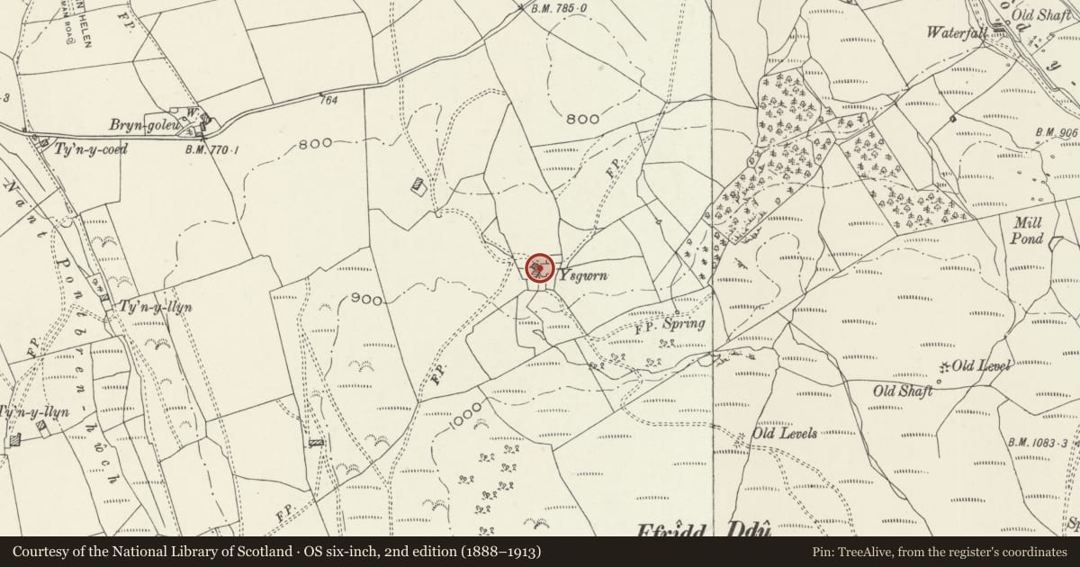 Ordnance Survey six-inch map, 2nd edition (1888–1913) covering the location of Yr Ysgwrn Farmhouse, stable and cartshed, Trawsfynydd, Gwynedd, with a pin at the register's coordinates