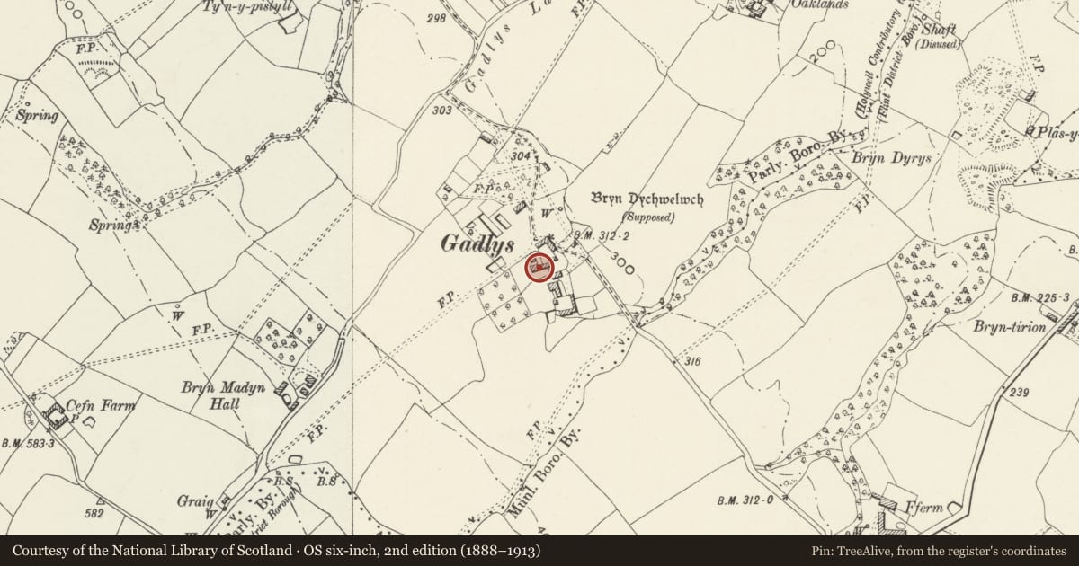 Ordnance Survey six-inch map, 2nd edition (1888–1913) covering the location of Gadlys Woods Farmhouse, Bagillt, Flintshire, with a pin at the register's coordinates