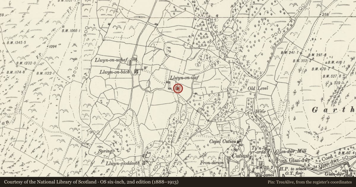Ordnance Survey six-inch map, 2nd edition (1888–1913) covering the location of Llwyn Onn Isaf Farmhouse, Barmouth, Gwynedd, with a pin at the register's coordinates