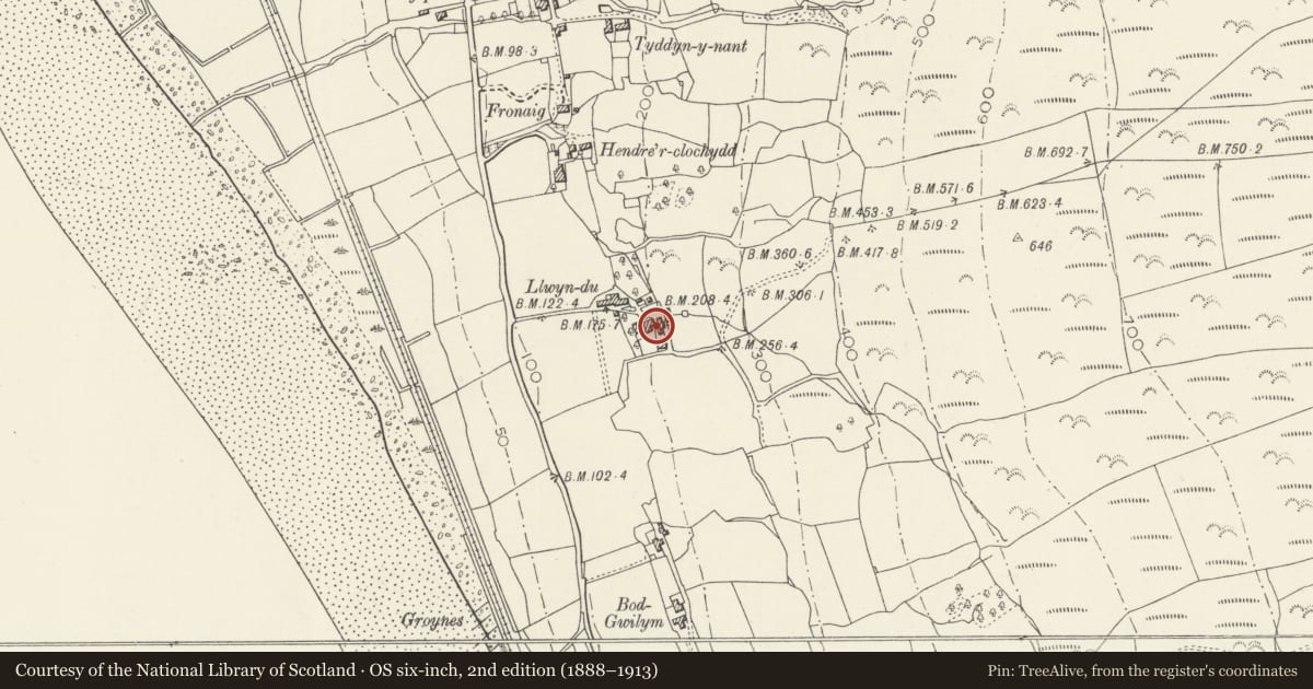 Ordnance Survey six-inch map, 2nd edition (1888–1913) covering the location of Llwyndu Guest House, Barmouth, Gwynedd, with a pin at the register's coordinates