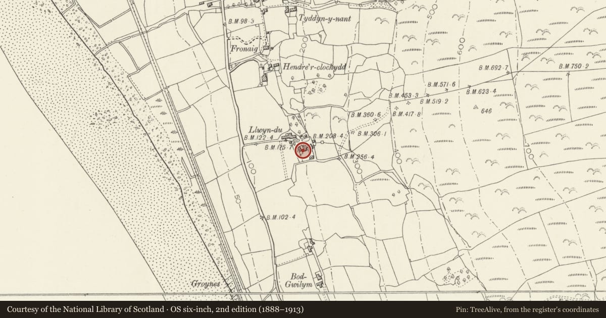 Ordnance Survey six-inch map, 2nd edition (1888–1913) covering the location of Dower House at Llwyndu, Barmouth, Gwynedd, with a pin at the register's coordinates