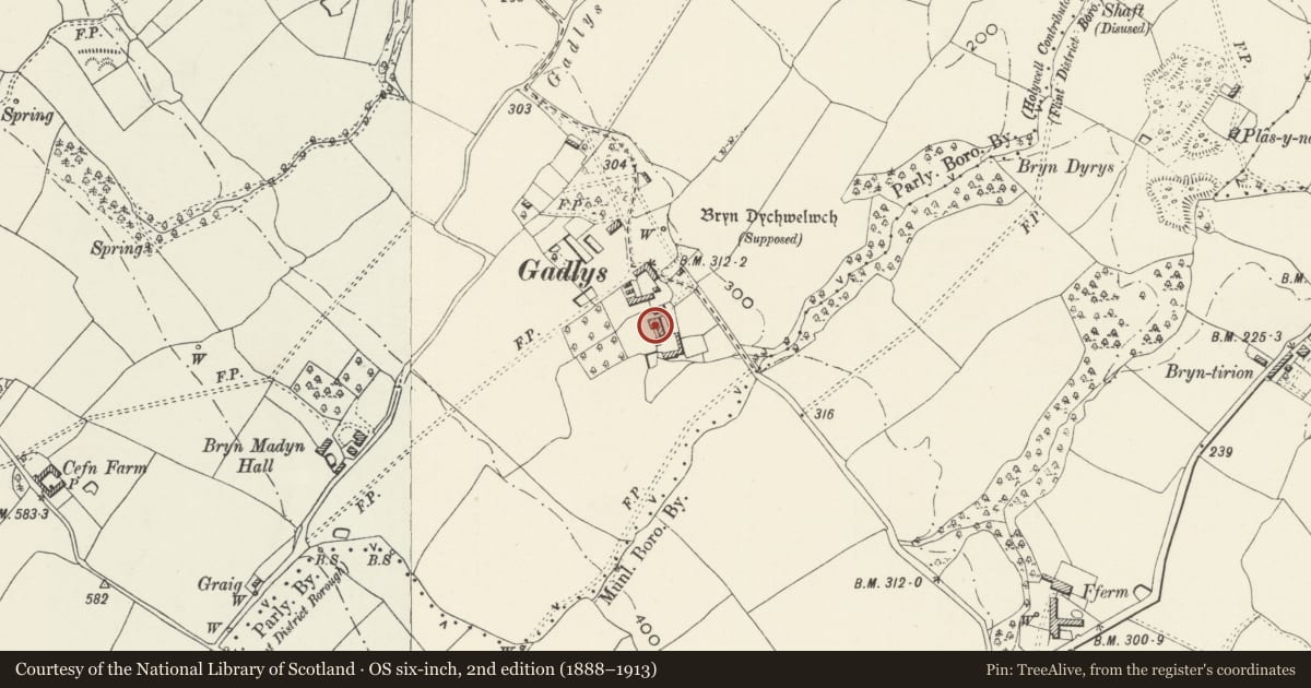 Ordnance Survey six-inch map, 2nd edition (1888–1913) covering the location of Gadlys Hall, Bagillt, Flintshire, with a pin at the register's coordinates