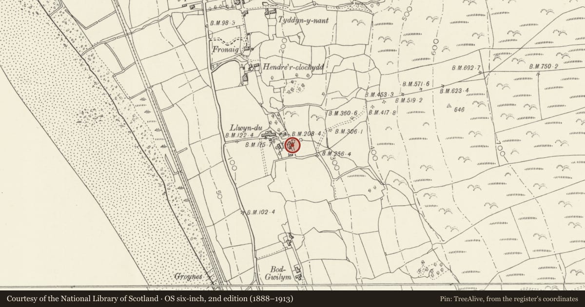 Ordnance Survey six-inch map, 2nd edition (1888–1913) covering the location of Long Barn Range at Llwyndu, including attached Small Range at S End, Barmouth, Gwynedd, with a pin at the register's coordinates