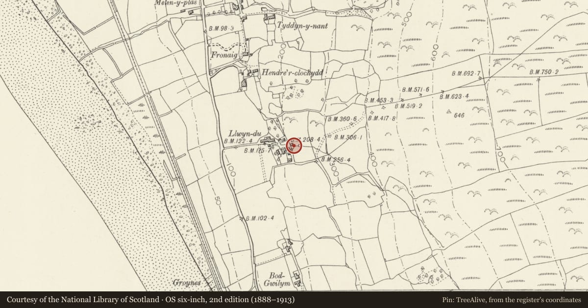Ordnance Survey six-inch map, 2nd edition (1888–1913) covering the location of Former Watermill at Llwyndu, Barmouth, Gwynedd, with a pin at the register's coordinates