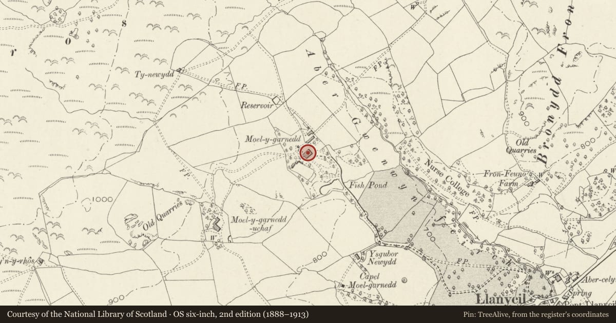 Ordnance Survey six-inch map, 2nd edition (1888–1913) covering the location of Plas Moel-y-Garnedd, Llanycil, Gwynedd, with a pin at the register's coordinates