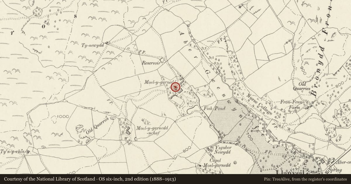 Ordnance Survey six-inch map, 2nd edition (1888–1913) covering the location of Stables and Coach house at Plas Moel-y-Garnedd, Llanycil, Gwynedd, with a pin at the register's coordinates