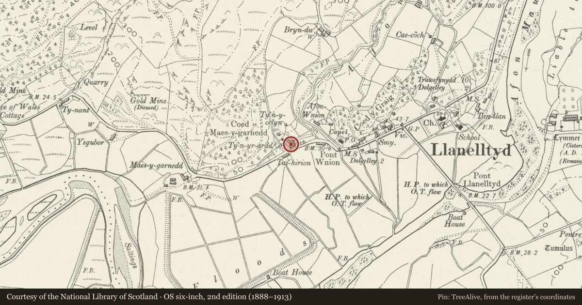 Ordnance Survey six-inch map, 2nd edition (1888–1913) covering the location of Tyn-y-Celyn, Llanelltyd, Gwynedd, with a pin at the register's coordinates