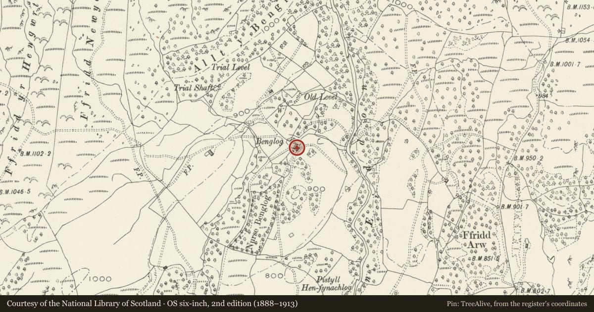 Ordnance Survey six-inch map, 2nd edition (1888–1913) covering the location of Barn to S of Hendre Fridd y Mynach, Brithdir and Llanfachreth, Gwynedd, with a pin at the register's coordinates