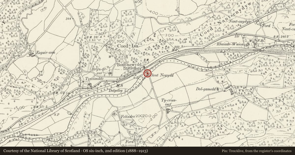 Ordnance Survey six-inch map, 2nd edition (1888–1913) covering the location of Bont Newydd, Brithdir and Llanfachreth, Gwynedd, with a pin at the register's coordinates