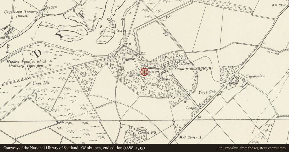 Ordnance Survey six-inch map, 2nd edition (1888–1913) covering the location of Dovecote at Ynysmaengwyn, Bryn-Crug, Gwynedd, with a pin at the register's coordinates