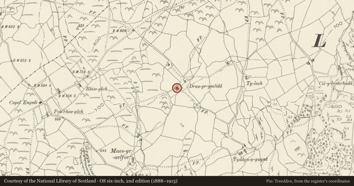 Ordnance Survey six-inch map, 2nd edition (1888–1913) covering the location of Drws yr Ymlid Farmhouse, Llanfair, Gwynedd, with a pin at the register's coordinates