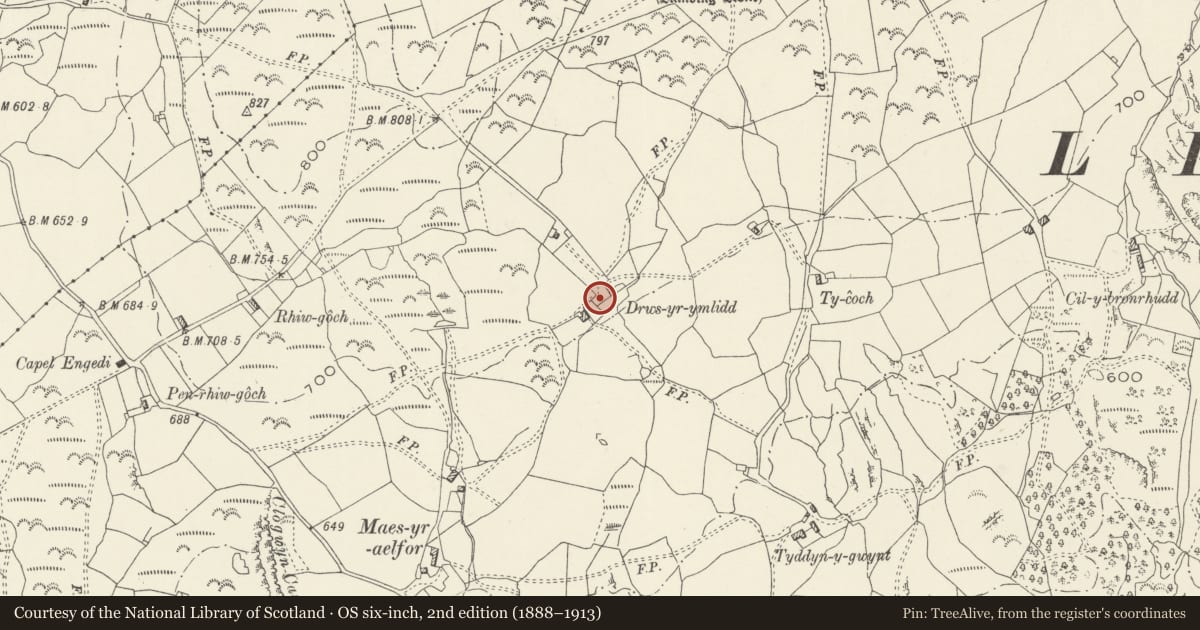 Ordnance Survey six-inch map, 2nd edition (1888–1913) covering the location of Pigsty & Brewhouse at Drws yr Ymlid Farm (including rubble-walled yard between), Llanfair, Gwynedd, with a pin at the register's coordinates