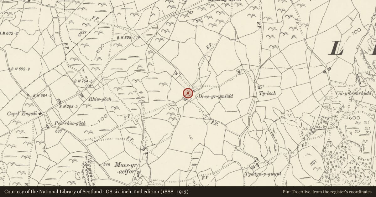 Ordnance Survey six-inch map, 2nd edition (1888–1913) covering the location of Fowl House at Drws yr Ymlid Farm (including rubble-walled yard), Llanfair, Gwynedd, with a pin at the register's coordinates