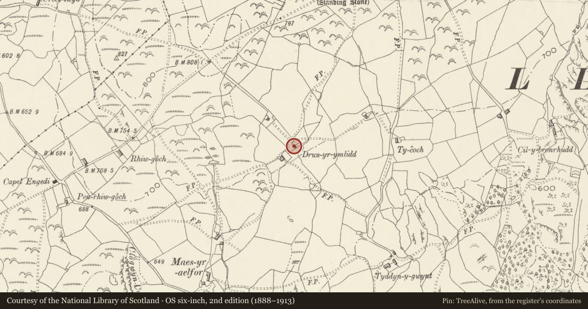 Ordnance Survey six-inch map, 2nd edition (1888–1913) covering the location of Barn at Drws yr Ymlid Farm, Llanfair, Gwynedd, with a pin at the register's coordinates