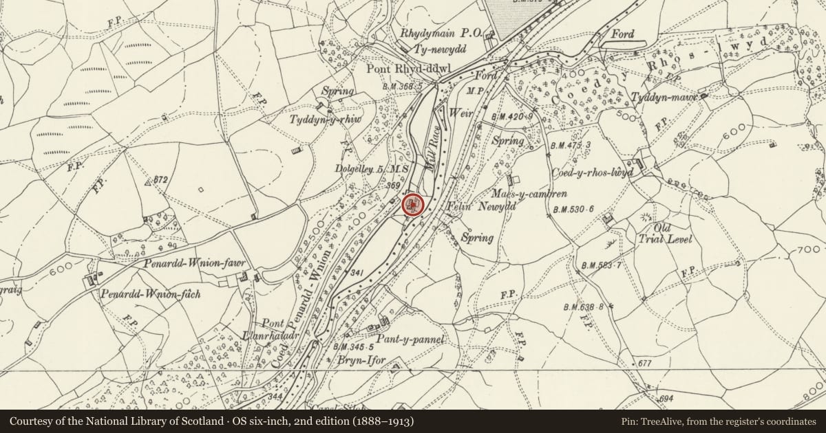 Ordnance Survey six-inch map, 2nd edition (1888–1913) covering the location of Former Farmhouse at Felin Newydd, Brithdir and Llanfachreth, Gwynedd, with a pin at the register's coordinates