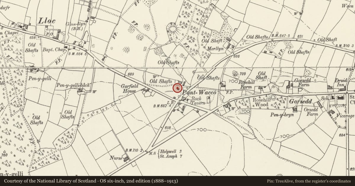 Ordnance Survey six-inch map, 2nd edition (1888–1913) covering the location of Engine House, Whitford, Flintshire, with a pin at the register's coordinates
