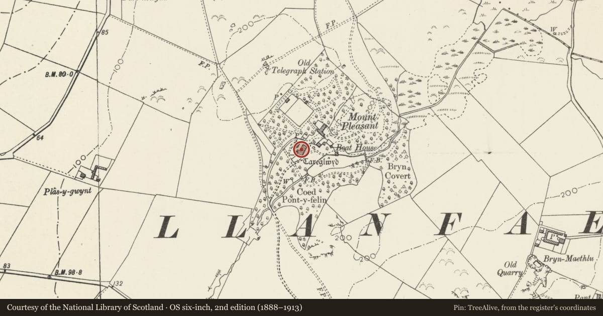 Ordnance Survey six-inch map, 2nd edition (1888–1913) covering the location of Carreglwyd, Llanfaethlu, Isle of Anglesey, with a pin at the register's coordinates
