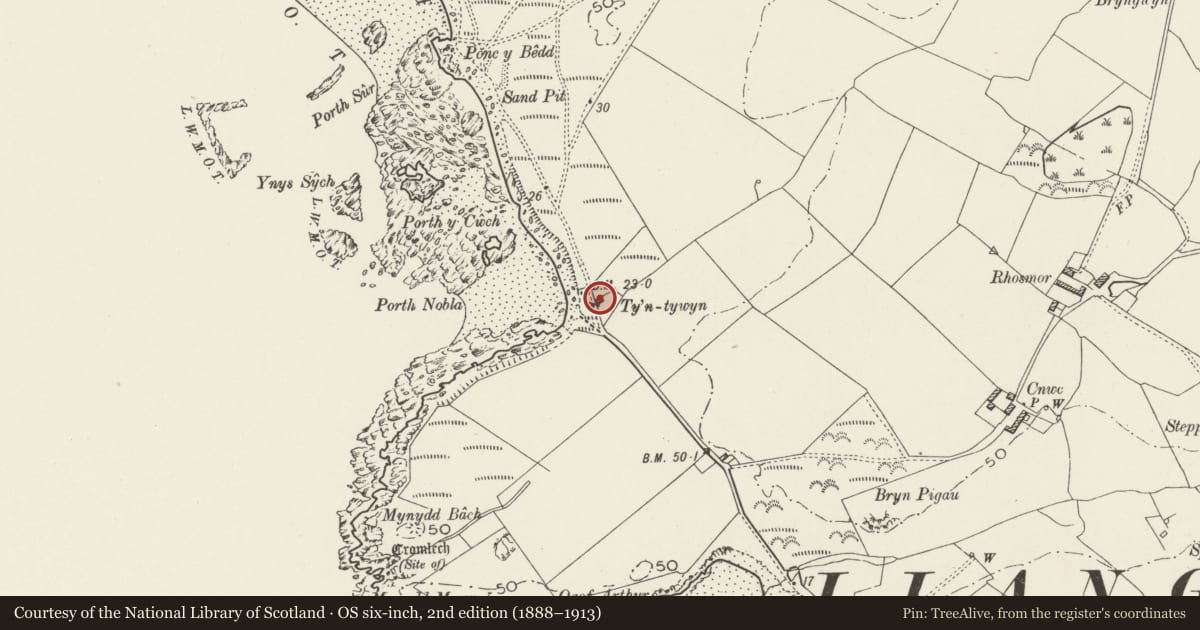 Ordnance Survey six-inch map, 2nd edition (1888–1913) covering the location of Tyn Towyn, Aberffraw, Isle of Anglesey, with a pin at the register's coordinates