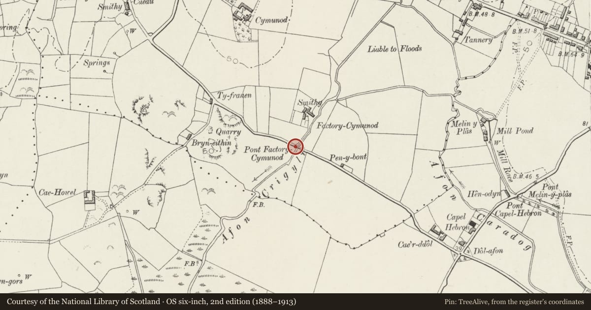 Ordnance Survey six-inch map, 2nd edition (1888–1913) covering the location of Pont Factory Cymunod, over the Afon Crigyll, Llanfair-yn-Neubwll, Isle of Anglesey, with a pin at the register's coordinates