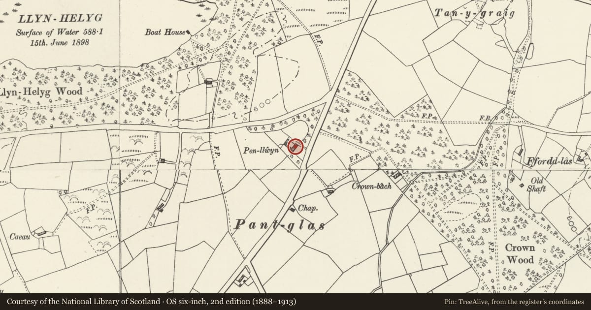 Ordnance Survey six-inch map, 2nd edition (1888–1913) covering the location of Pen Llwyn Farmhouse, Whitford, Flintshire, with a pin at the register's coordinates