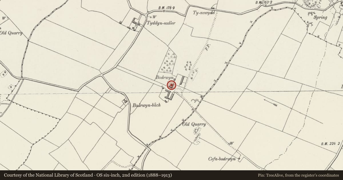 Ordnance Survey six-inch map, 2nd edition (1888–1913) covering the location of Bodrwyn, Llangristiolus, Isle of Anglesey, with a pin at the register's coordinates
