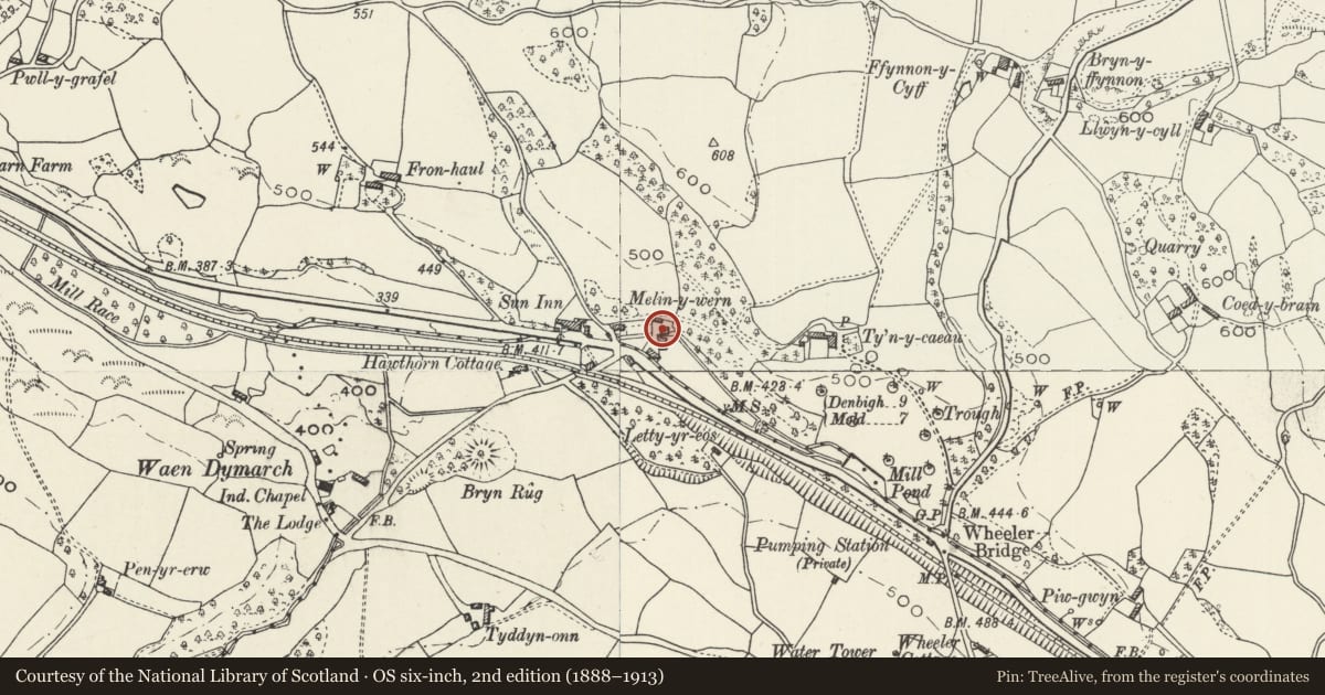 Ordnance Survey six-inch map, 2nd edition (1888–1913) covering the location of Melin-y-wern, Ysceifiog, Flintshire, with a pin at the register's coordinates