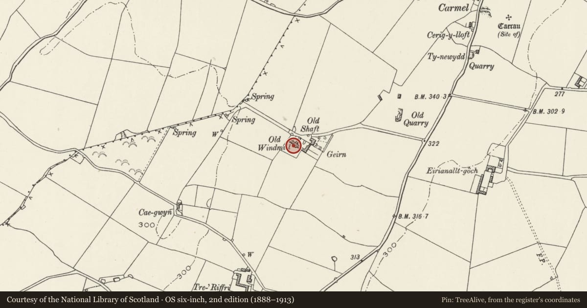 Ordnance Survey six-inch map, 2nd edition (1888–1913) covering the location of Melin Geirn and attached agricultural ranges, Tref Alaw, Isle of Anglesey, with a pin at the register's coordinates