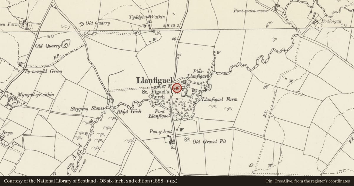 Ordnance Survey six-inch map, 2nd edition (1888–1913) covering the location of Church of St Figael, Llanfachraeth, Isle of Anglesey, with a pin at the register's coordinates