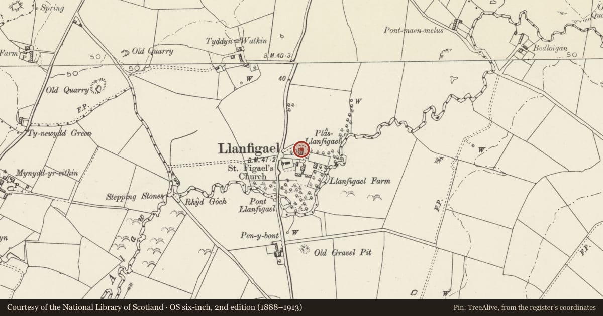 Ordnance Survey six-inch map, 2nd edition (1888–1913) covering the location of Plas Llanfigael, Llanfachraeth, Isle of Anglesey, with a pin at the register's coordinates