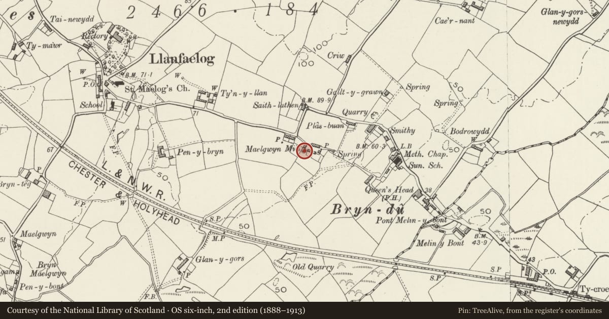 Ordnance Survey six-inch map, 2nd edition (1888–1913) covering the location of Melin Uchaf (aka Melin Maelgwyn), Llanfaelog, Isle of Anglesey, with a pin at the register's coordinates