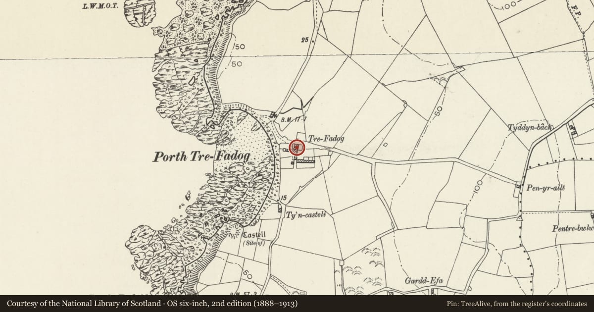 Ordnance Survey six-inch map, 2nd edition (1888–1913) covering the location of Trefadog, Llanfaethlu, Isle of Anglesey, with a pin at the register's coordinates