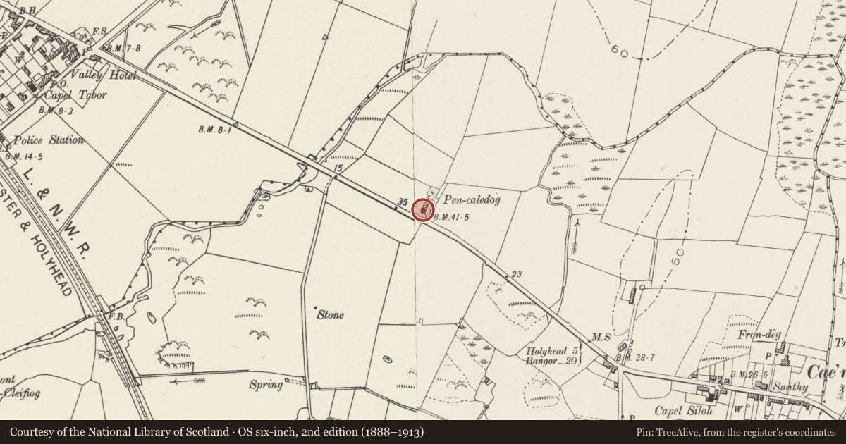 Ordnance Survey six-inch map, 2nd edition (1888–1913) covering the location of Pencaledog, Llanfair-yn-Neubwll, Isle of Anglesey, with a pin at the register's coordinates