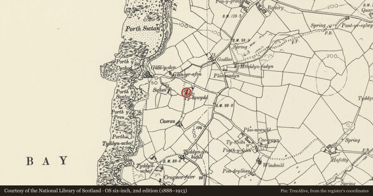 Ordnance Survey six-inch map, 2nd edition (1888–1913) covering the location of Ty Newydd and garden wall to front, with attached agricultural range, Cylch-y-Garn, Isle of Anglesey, with a pin at the register's coordinates