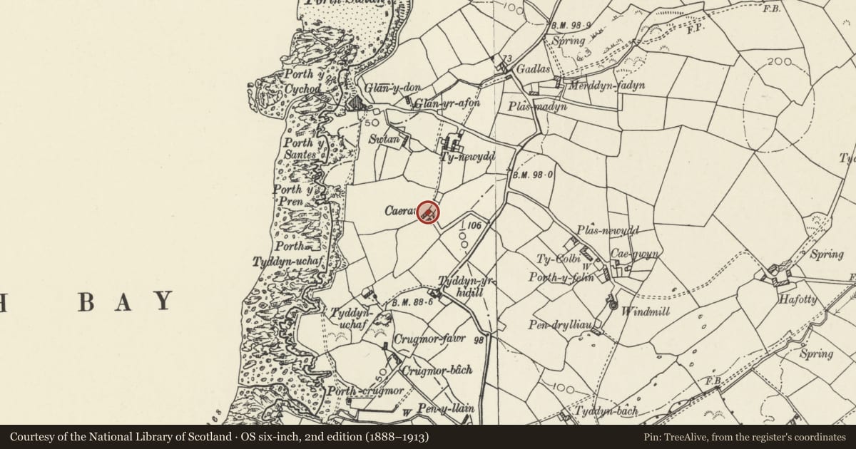Ordnance Survey six-inch map, 2nd edition (1888–1913) covering the location of Caerau including garden wall to front, Cylch-y-Garn, Isle of Anglesey, with a pin at the register's coordinates