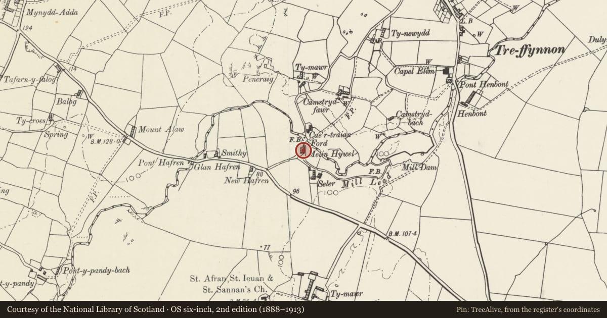Ordnance Survey six-inch map, 2nd edition (1888–1913) covering the location of Melyn Hywel, Tref Alaw, Isle of Anglesey, with a pin at the register's coordinates