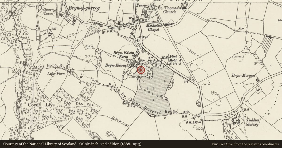 Ordnance Survey six-inch map, 2nd edition (1888–1913) covering the location of Bryn Edwin, Flint, Flintshire, with a pin at the register's coordinates