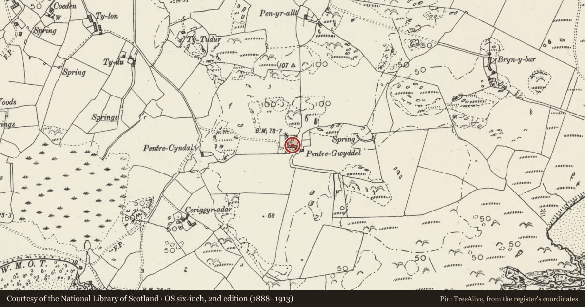 Ordnance Survey six-inch map, 2nd edition (1888–1913) covering the location of Pentre Gwyddel, Rhoscolyn, Isle of Anglesey, with a pin at the register's coordinates